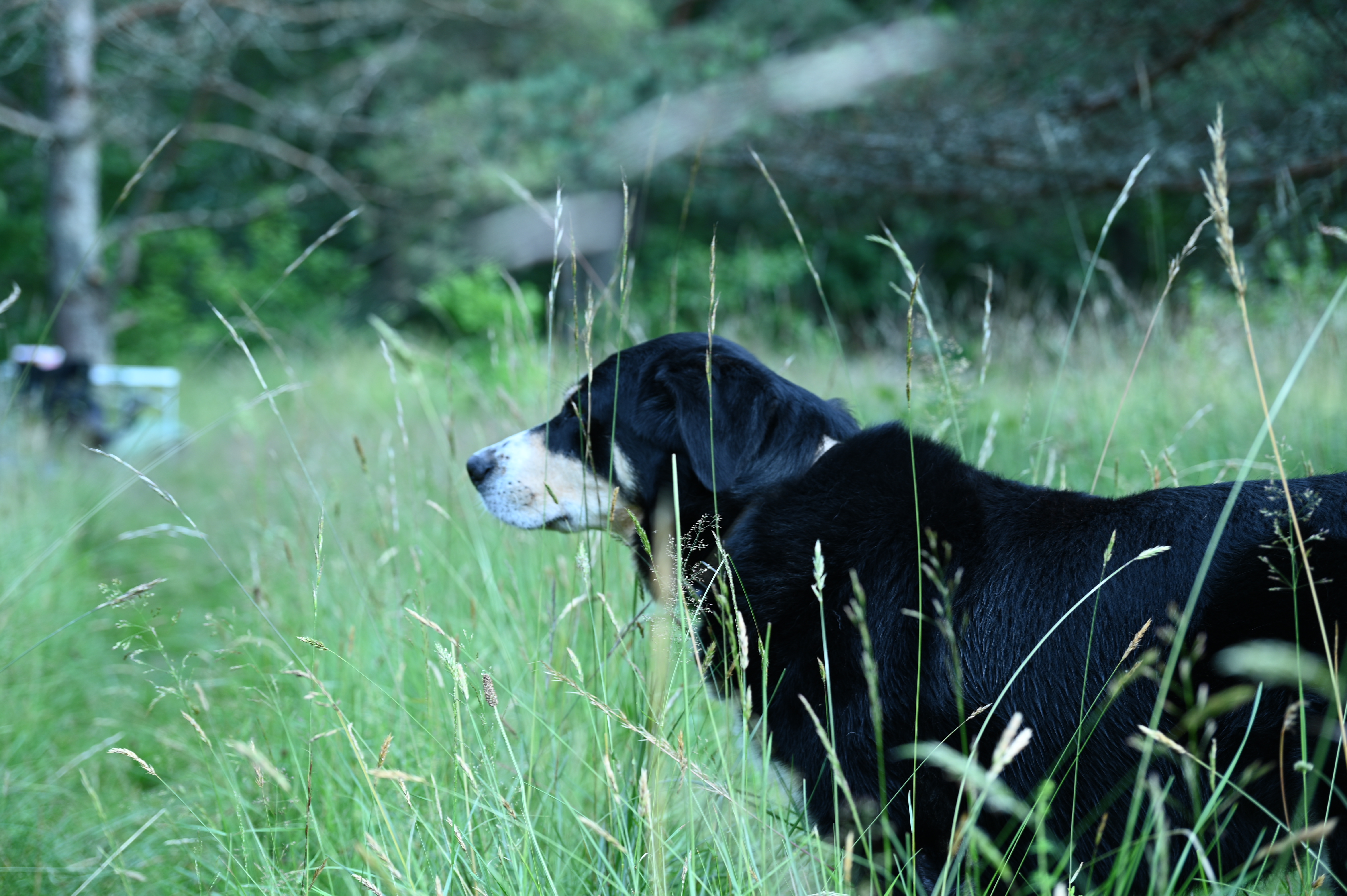 2025/07/09-14 - trip/DSC_0018.JPG